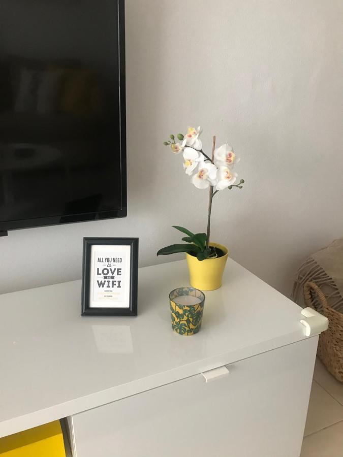 Designer'S Flat - 3 Bdrm - Wifi - Best Location Alicante Eksteriør bilde